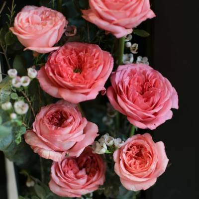 SWEET LEECHEE – PREMIUM BOXED GARDEN ROSE