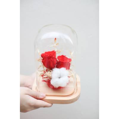 FOREVER- CLASSIC PRESERVED RED ROSE